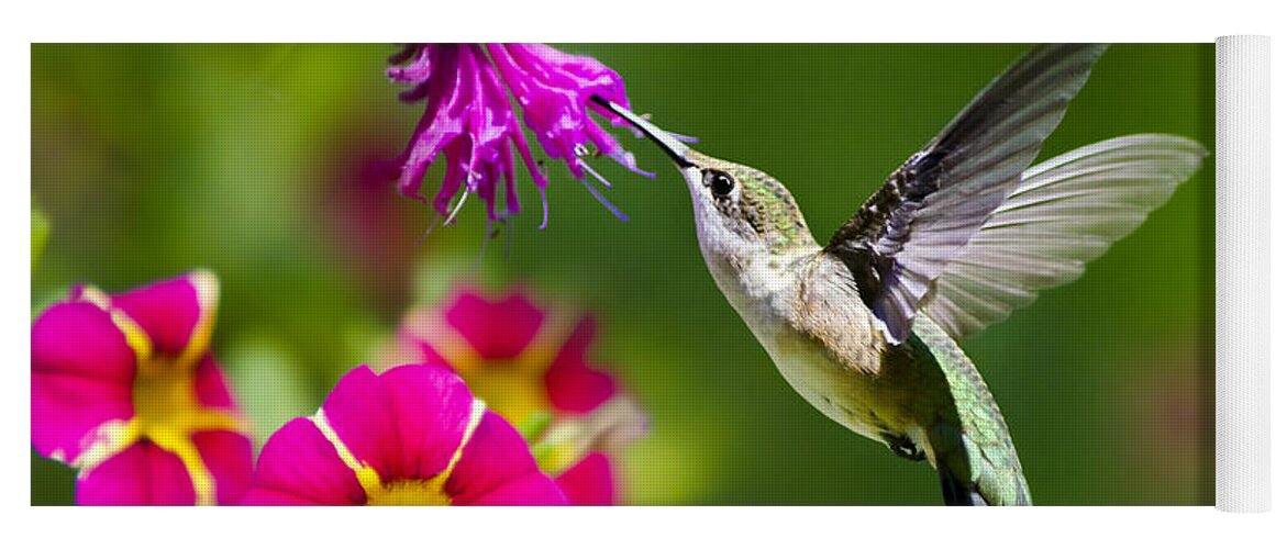 Hummingbird Yoga Mat featuring the photograph Hummingbird with Flower by Christina Rollo