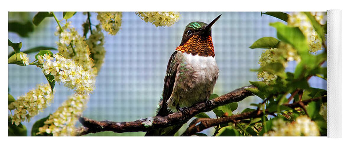 Hummingbird Yoga Mat featuring the photograph Hummingbird with Flowers by Christina Rollo