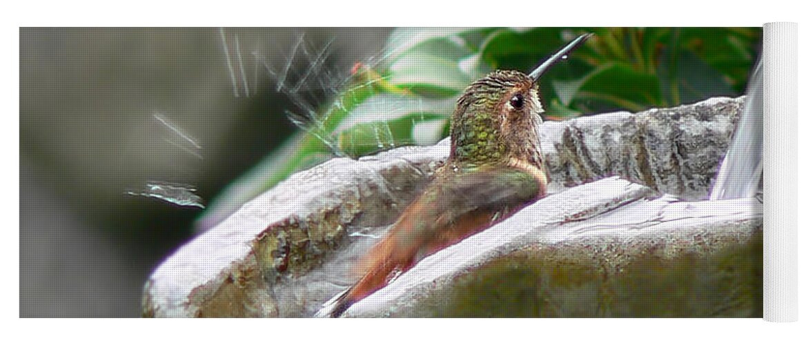 Hummingbird Yoga Mat featuring the photograph Hummingbirds Do Take Baths by Jennie Marie Schell