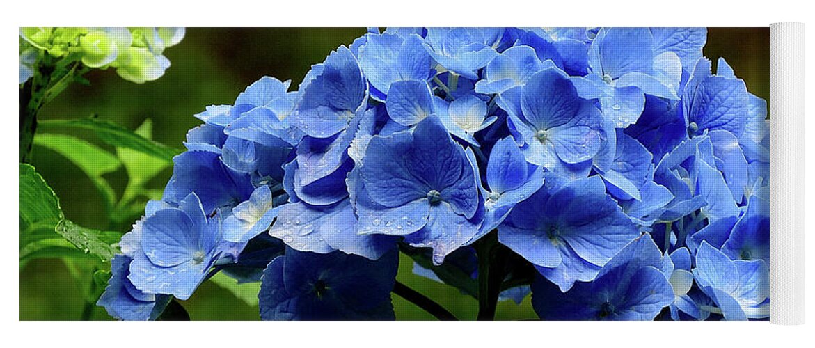 Hydrangea Yoga Mat featuring the photograph Hydrangea in Blue by Linda Stern