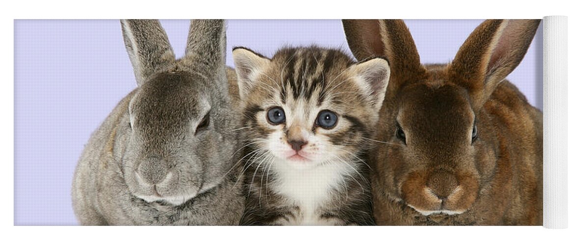 Tabby Yoga Mat featuring the photograph I feel like a bunny sandwich by Warren Photographic