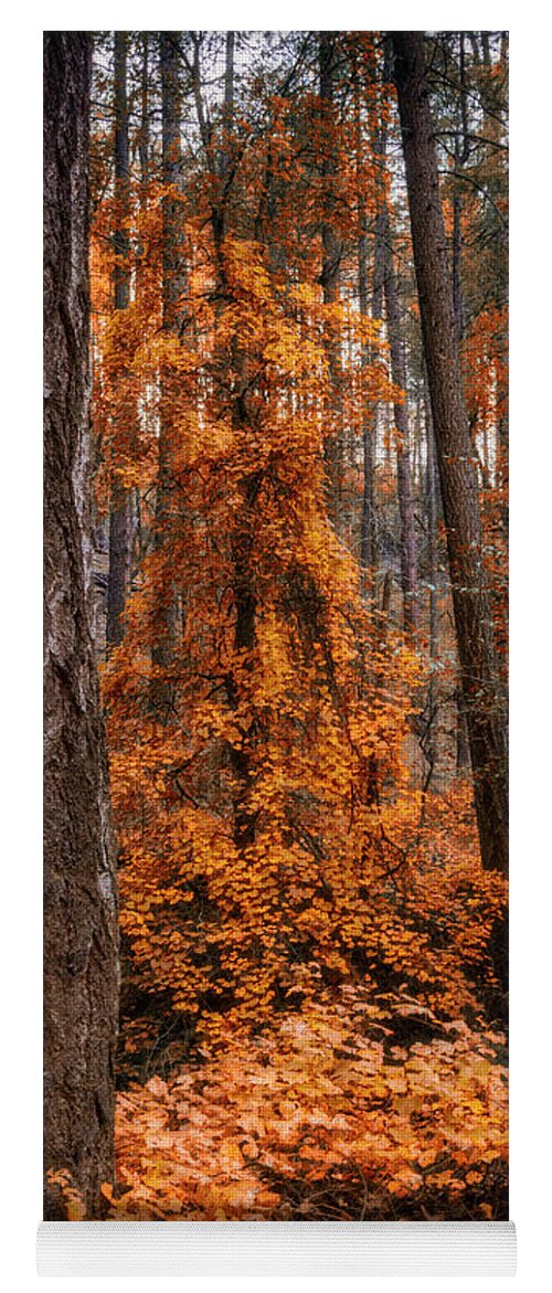 Fall Colors Yoga Mat featuring the photograph I Love Fall by Saija Lehtonen