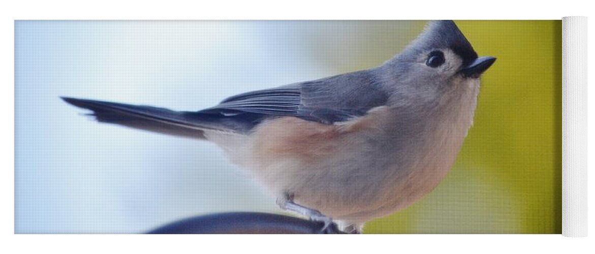 Wild Birds Yoga Mat featuring the photograph Tufted Titmouse by Eileen Brymer