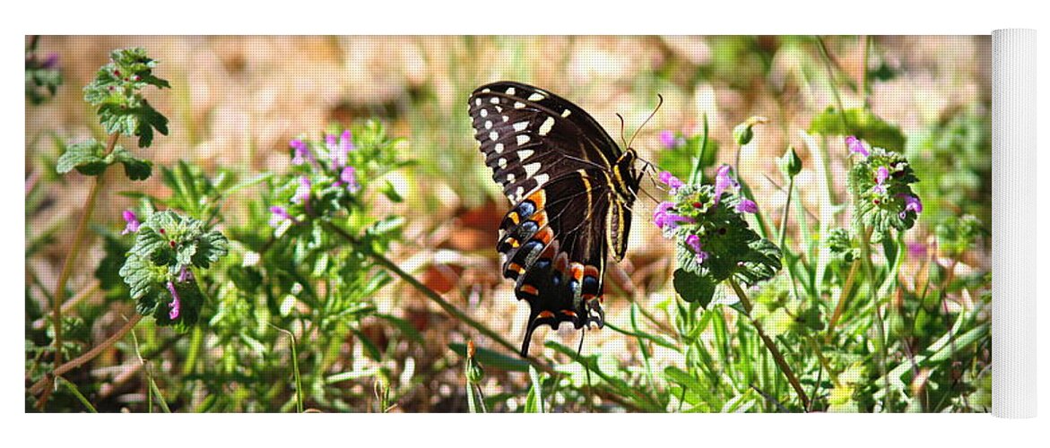 Butterfly Yoga Mat featuring the photograph IMG_1122 - Butterfly by Travis Truelove