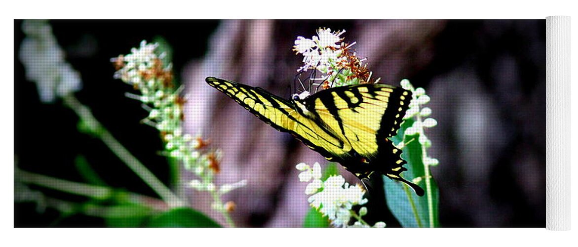 Tiger Swallowtail Butterfly Yoga Mat featuring the photograph IMG_8960 - Tiger Swallowtail Butterfly by Travis Truelove