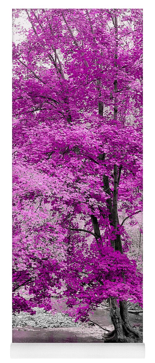 Orchid Purple Tree Yoga Mat featuring the photograph In a Perfect World by Susan Maxwell Schmidt