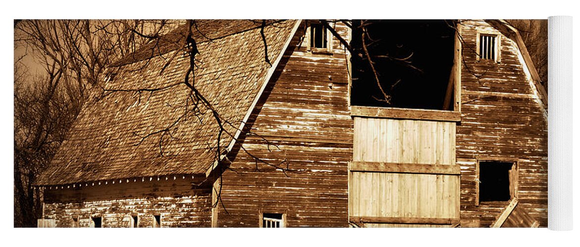 Barn Yoga Mat featuring the photograph In Need by Julie Hamilton