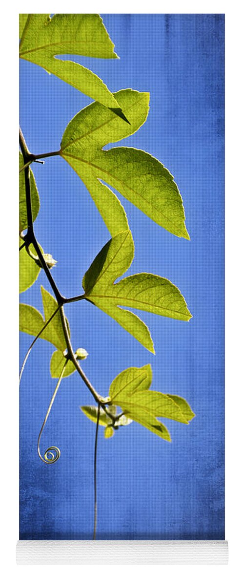 Leaves Yoga Mat featuring the photograph In The Blue by Carolyn Marshall