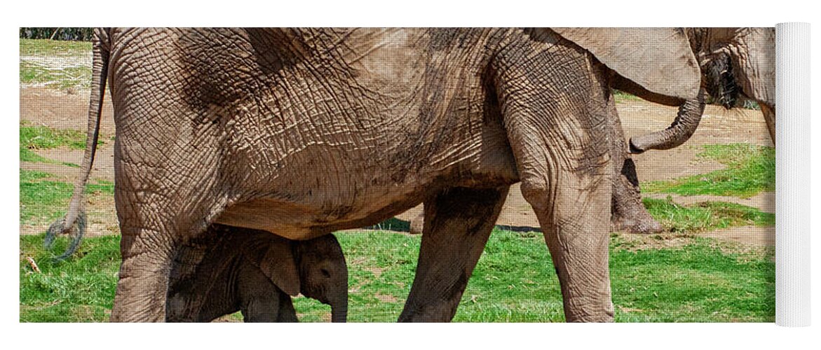 Mom And Baby Elephant Yoga Mat featuring the photograph In the Shadow of Mom by Anthony Jones