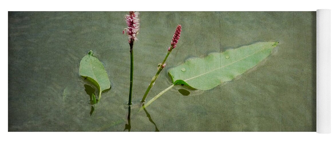 Flower Yoga Mat featuring the photograph In The Stillness... Love Whispers My Name by Lucinda Walter
