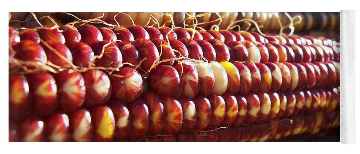 Indian Corn Yoga Mat featuring the photograph Indian Corn on The Cob by Shawna Rowe