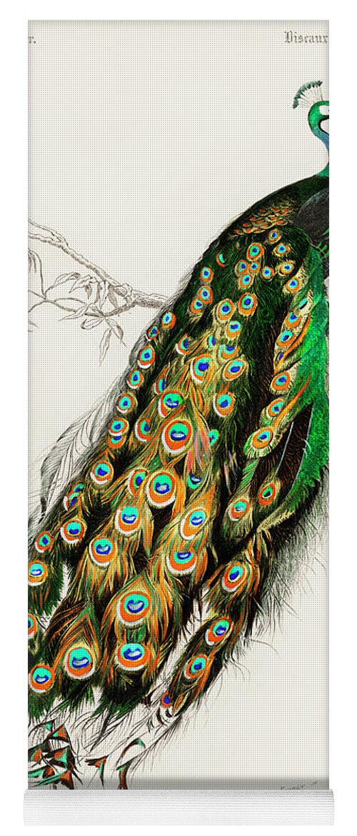 Ancient Yoga Mat featuring the painting Indian peafowl - Pavo Cristatus by Vincent Monozlay