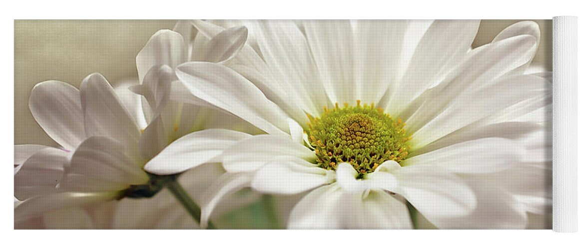 Daisies In Light Photo Yoga Mat featuring the photograph Inspired Daisies Print by Gwen Gibson