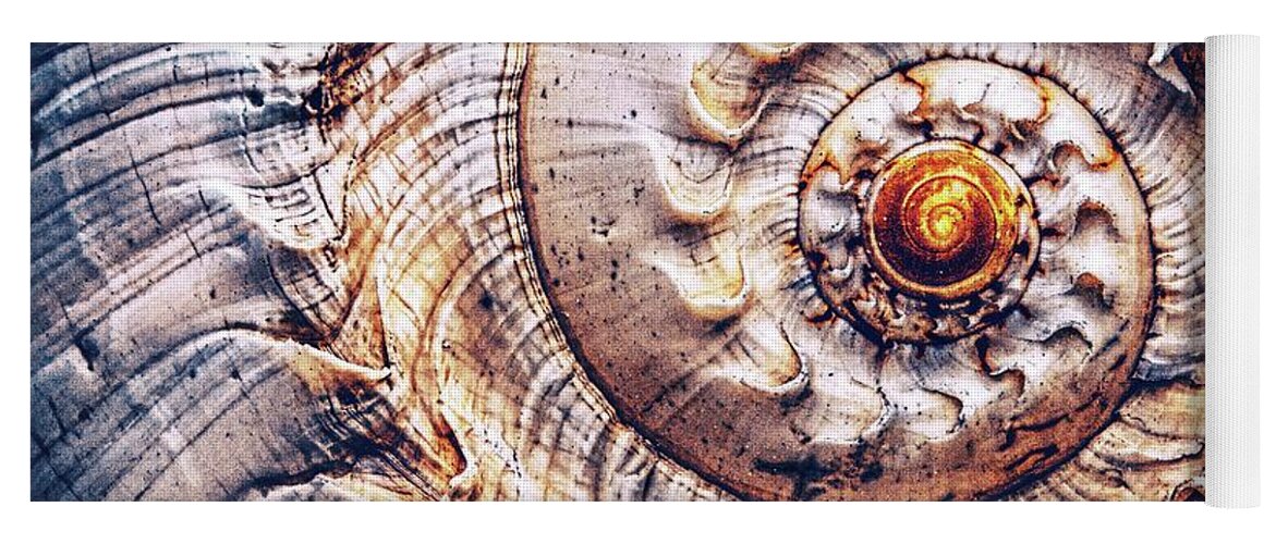 Spiral Yoga Mat featuring the photograph Into The Spiral by Jaroslav Buna