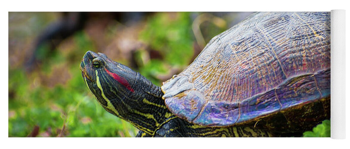 Alabama Yoga Mat featuring the photograph Iridescent Turtle by James-Allen