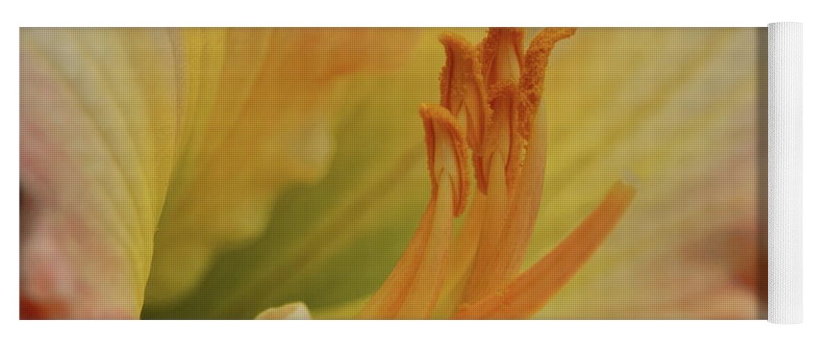 Flower Yoga Mat featuring the photograph Island Forest Day Lily Macro by Dale Kauzlaric