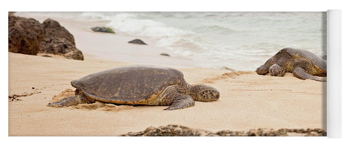 Chelonia Mydas Yoga Mat featuring the photograph Island Rest by Heather Applegate