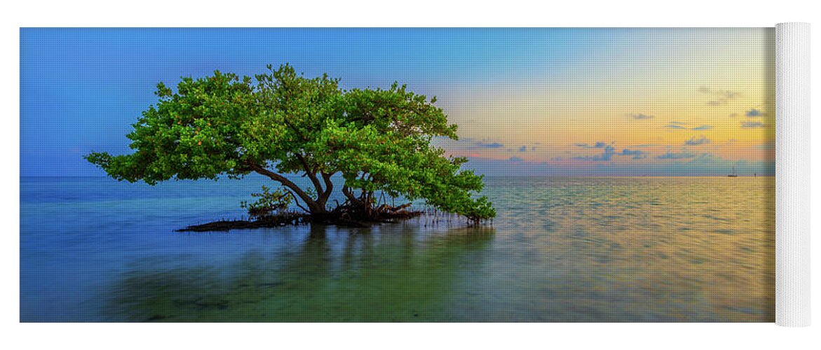 Mangrove Yoga Mat featuring the photograph Isolation by Chad Dutson