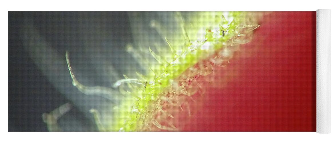 Super Macro Photography Yoga Mat featuring the photograph Its Not A Watermelon by Lilia S