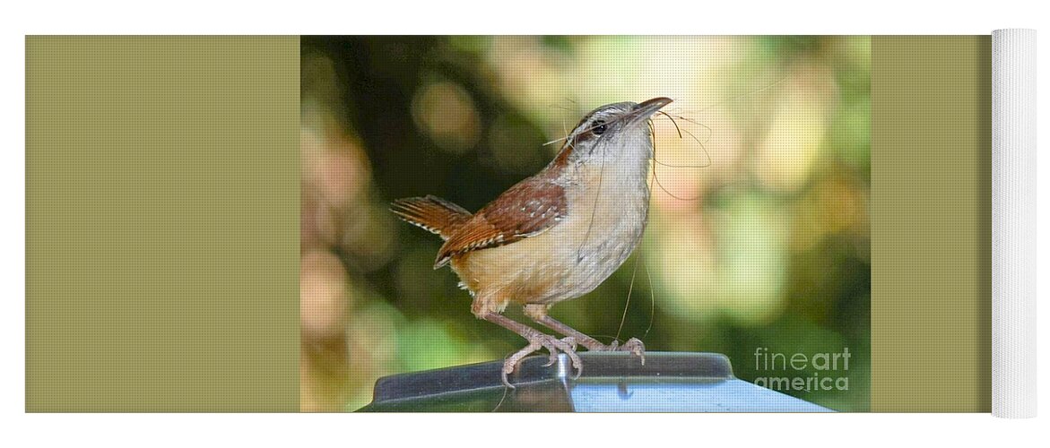House Wren Yoga Mat featuring the photograph It's Time to Build the Nest by Mary Ann Artz