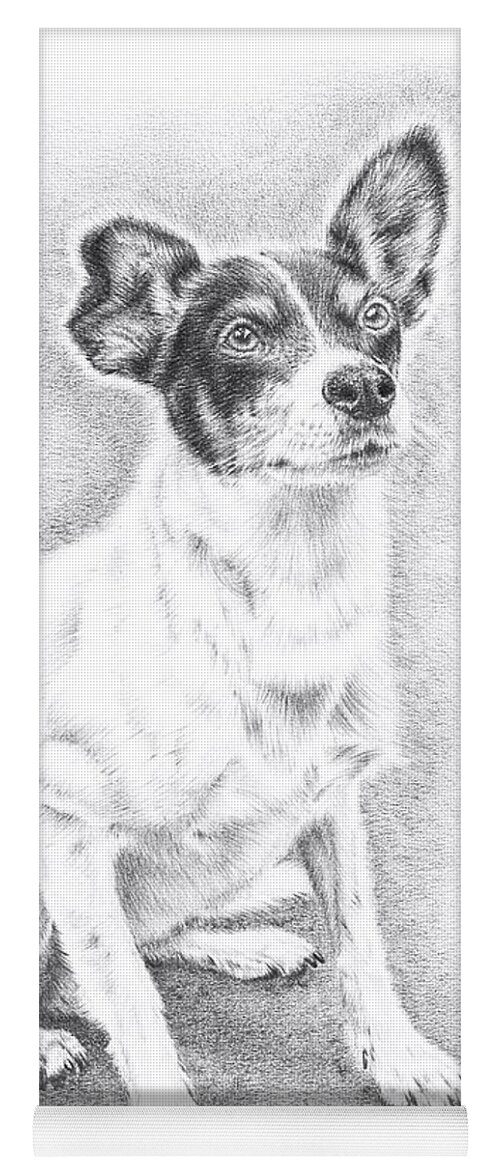 Pencil Drawing Yoga Mat featuring the drawing Jack Russell by Casey 'Remrov' Vormer