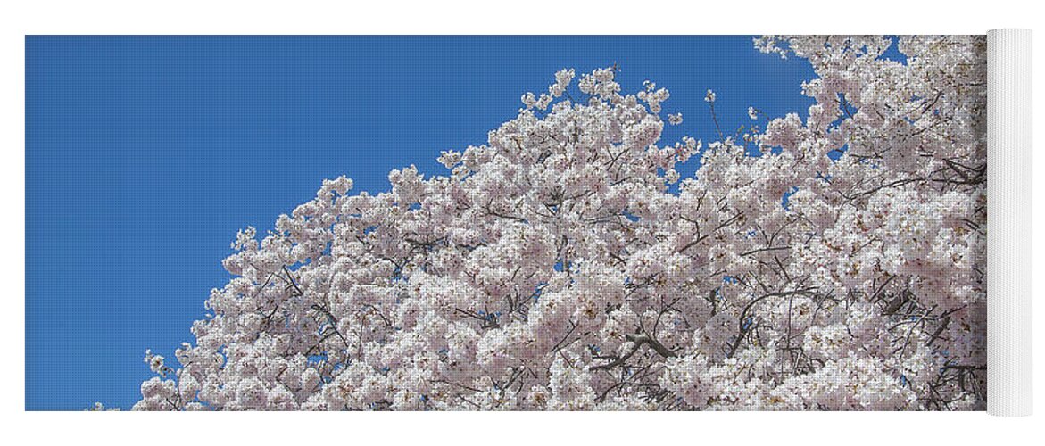 Scenic Yoga Mat featuring the photograph Japanese Cherry Tree Blossoms on the Tidal Basin DS0081 by Gerry Gantt