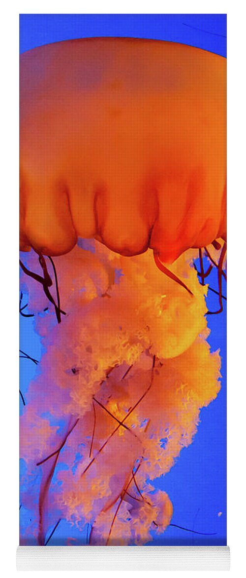 Jelly Fish Yoga Mat featuring the photograph Jelly Fish 4 by Susan Cliett