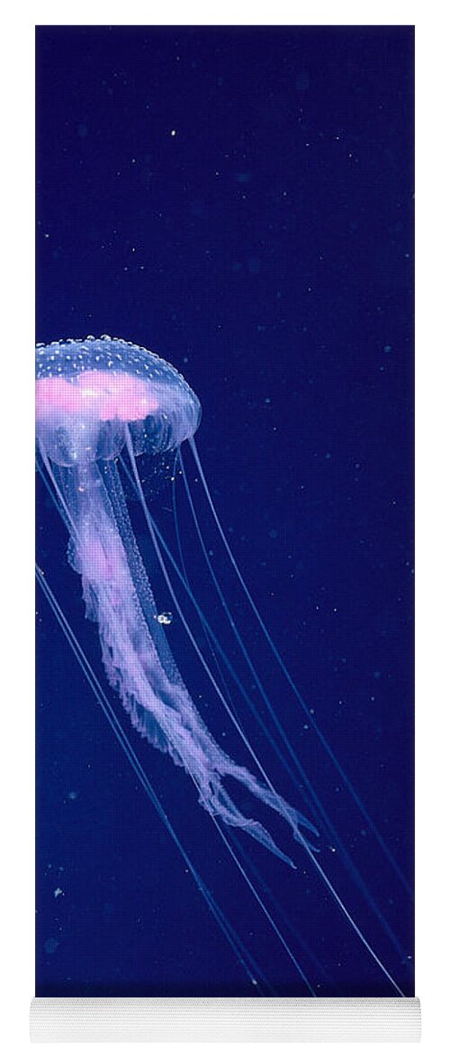A88e Yoga Mat featuring the photograph Jellyfish by Dave Fleetham - Printscapes