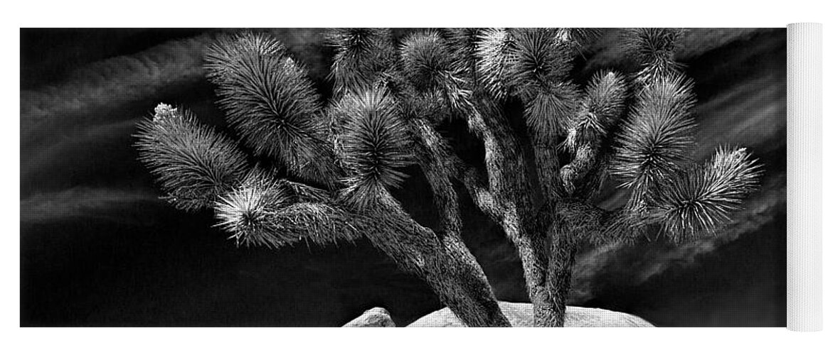 California Yoga Mat featuring the photograph Joshua Tree and Boulders in Black and White at Joshua Tree National Park by Randall Nyhof
