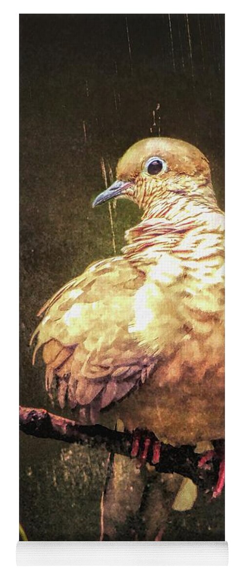 Mourning Dove Yoga Mat featuring the photograph Just A Little Plump by Tina LeCour
