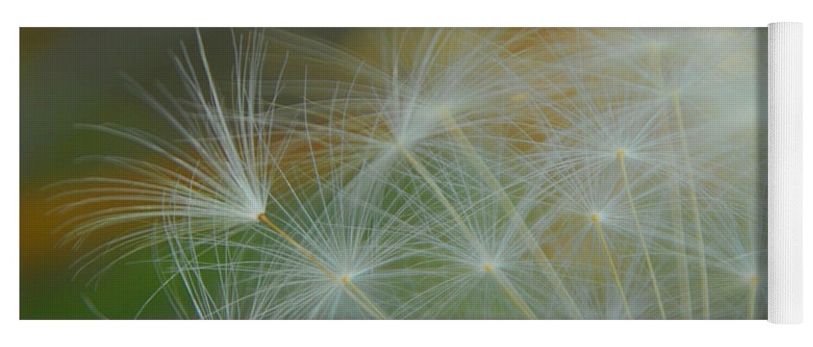 Dandelion Yoga Mat featuring the photograph Just Dandy by Donna Blackhall