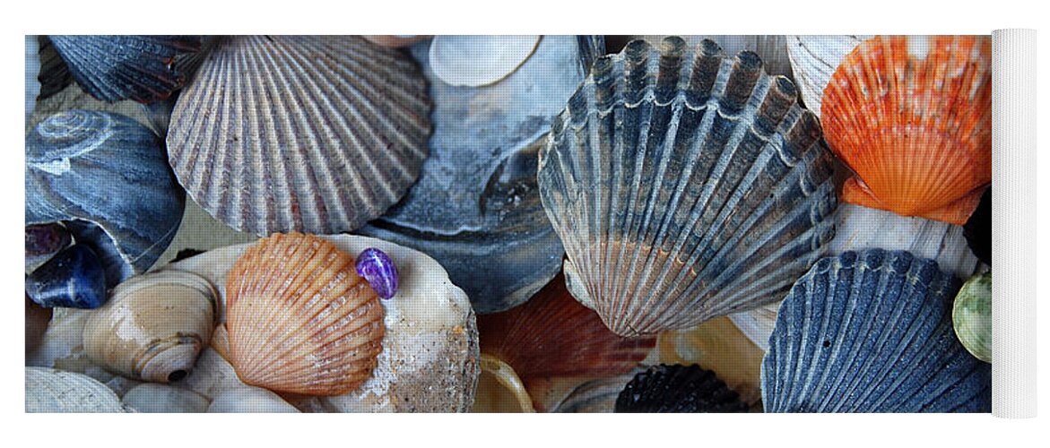Seashells Yoga Mat featuring the photograph Kayla's Shells by John Schneider