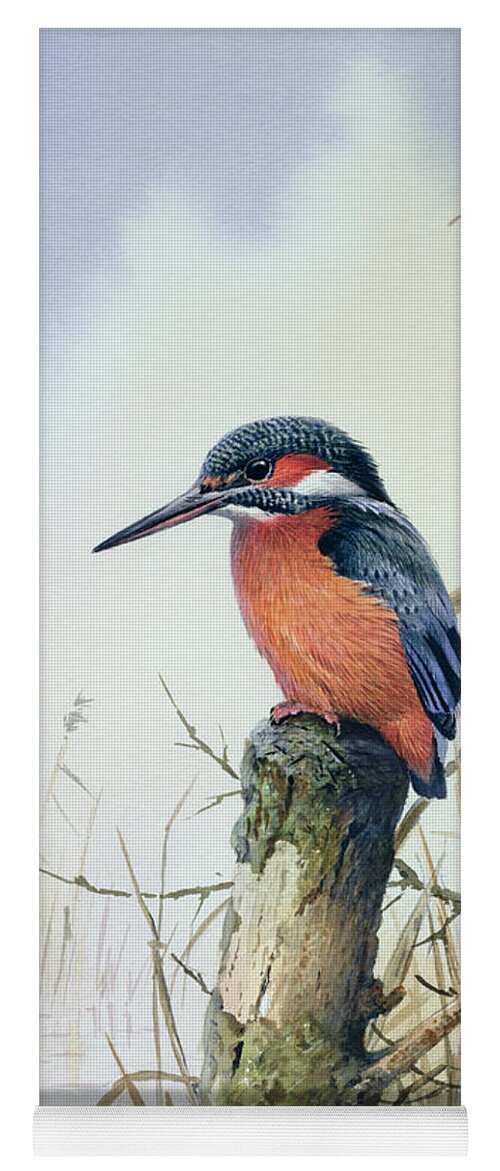 Bird; Kingfisher Reeds; River; Perched; Martin-pecheur; Resting; Sitting; Water Yoga Mat featuring the painting Kingfisher by Carl Donner