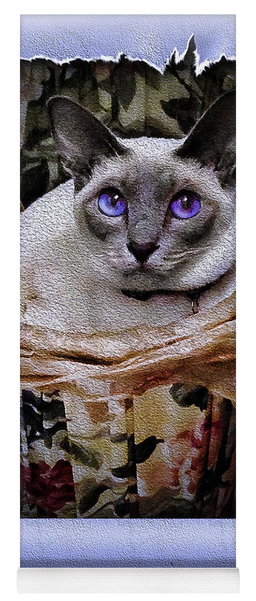 Photograph Yoga Mat featuring the photograph Kitty in a Basket by Reynaldo Williams