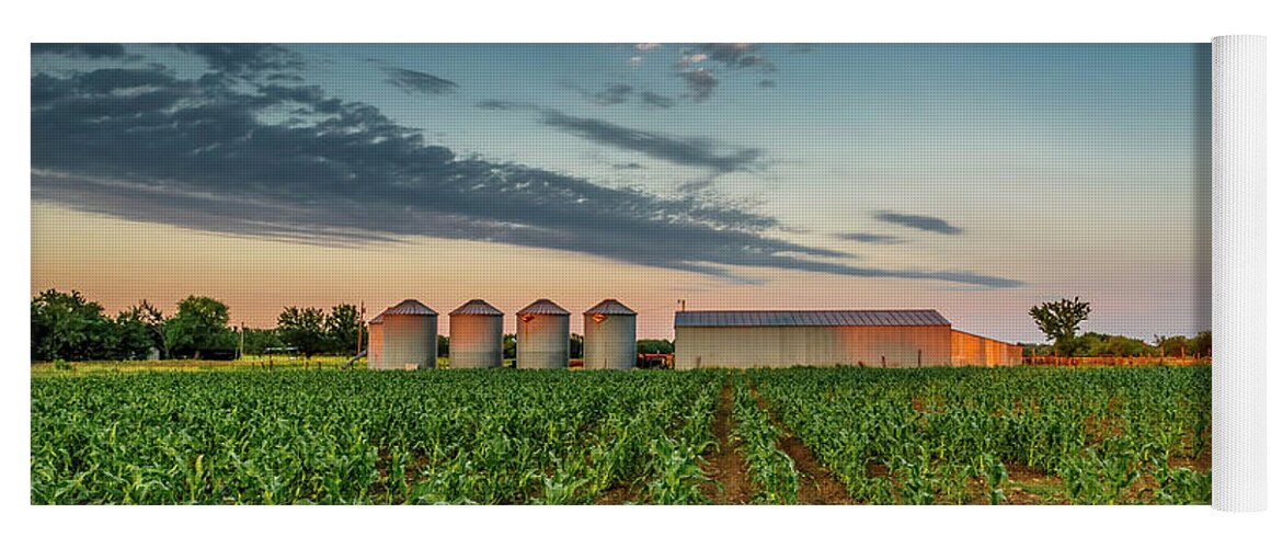 Ruralscape Yoga Mat featuring the photograph Knee High Sweet Corn by Steven Sparks