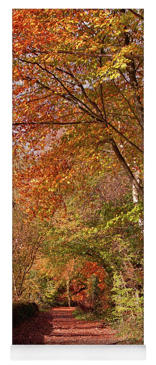 Knypersley Yoga Mat featuring the photograph Knypersley in Autumn by Stephen Melia