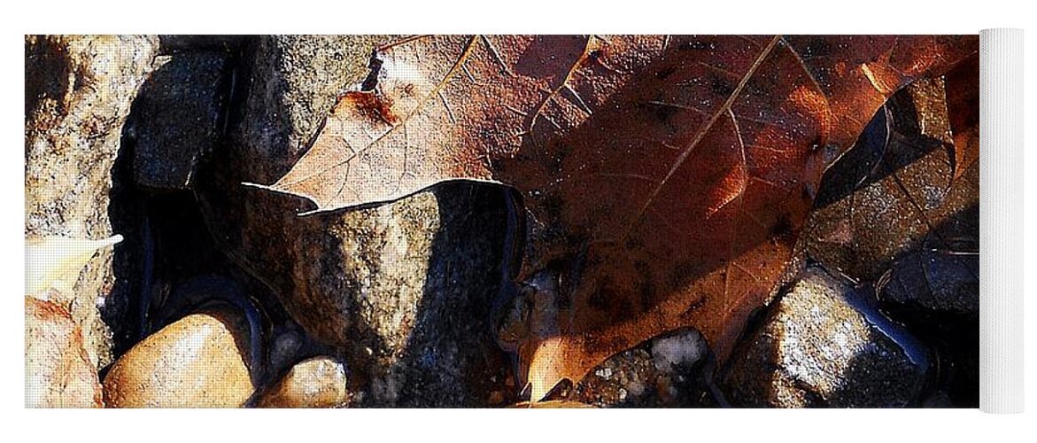 Leaves Yoga Mat featuring the photograph Laeves In Fall by Wolfgang Schweizer
