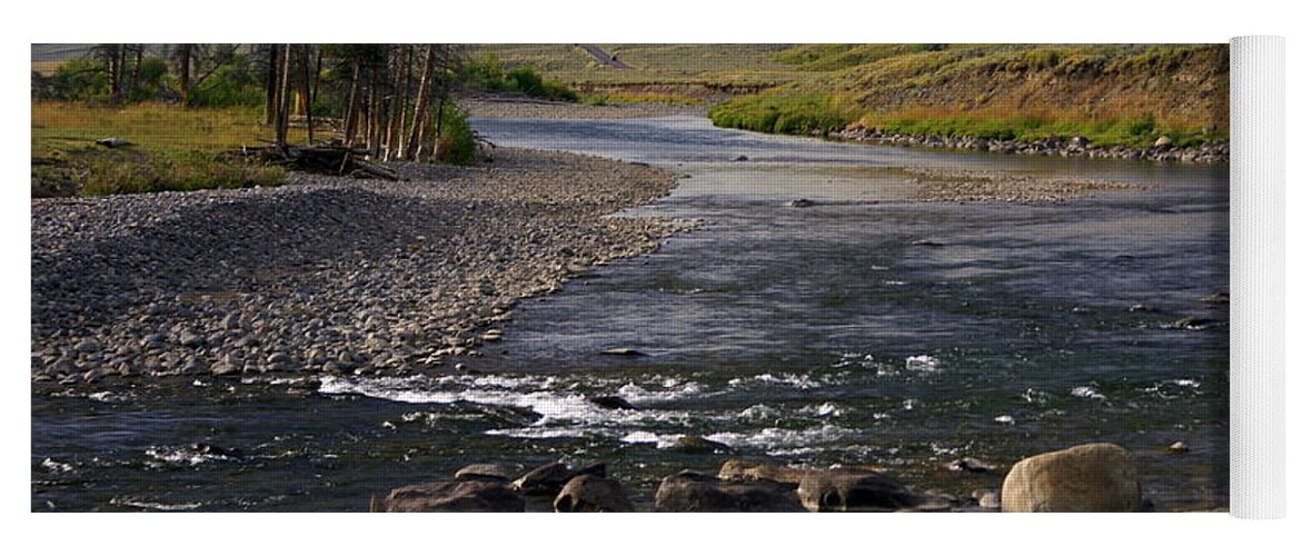 Yellowstone National Park Yoga Mat featuring the photograph Lamar Valley 3 by Marty Koch