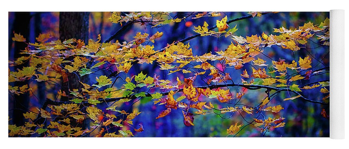 Last Leaves Of Fall Yoga Mat featuring the photograph Last Leaves of Fall by Doug Sturgess