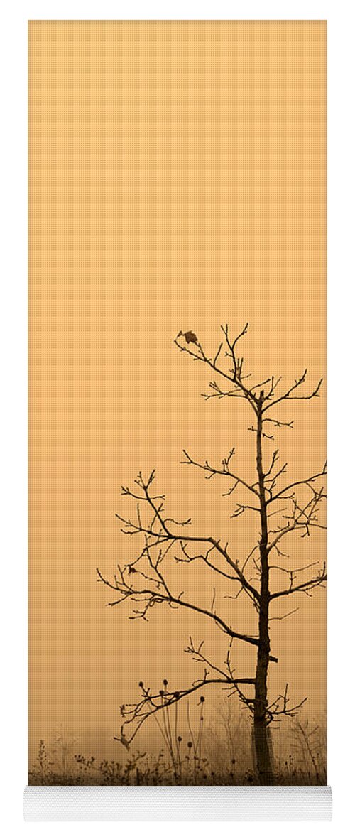 Tree Yoga Mat featuring the photograph Last Leaves by Timothy Johnson