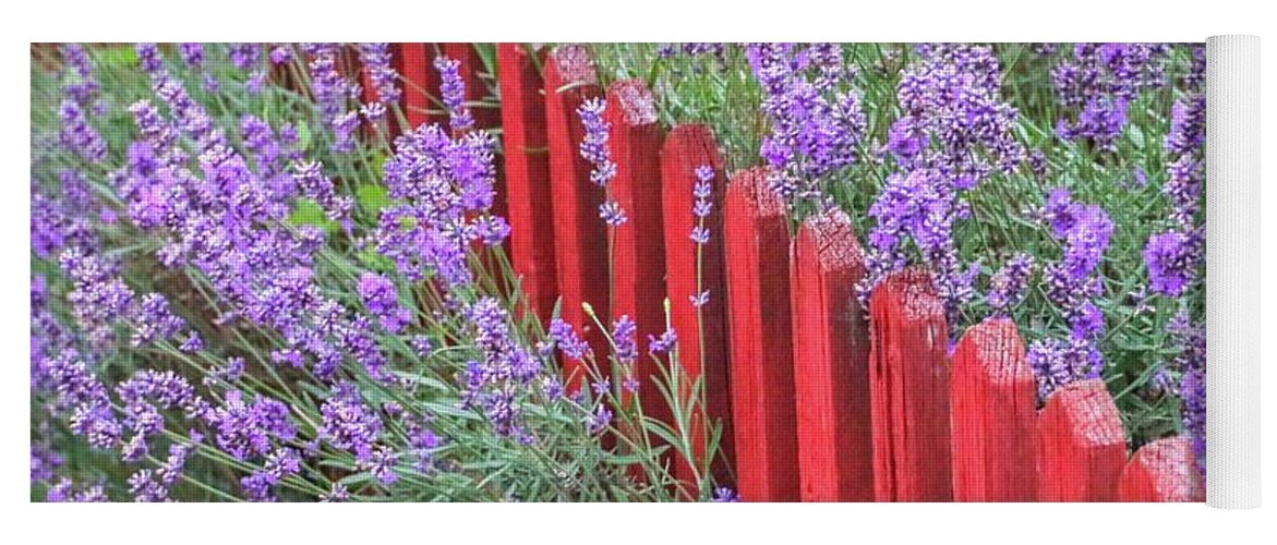 Countryside Yoga Mat featuring the photograph Lavender around a red wooden fence by Amanda Mohler