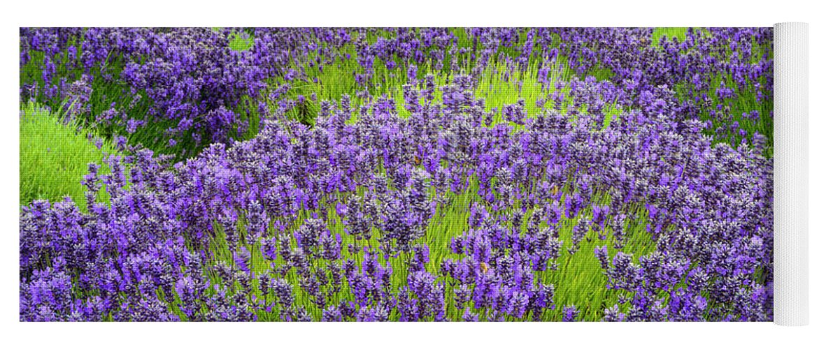 Flowers Yoga Mat featuring the digital art Lavender in blooming by Michael Lee