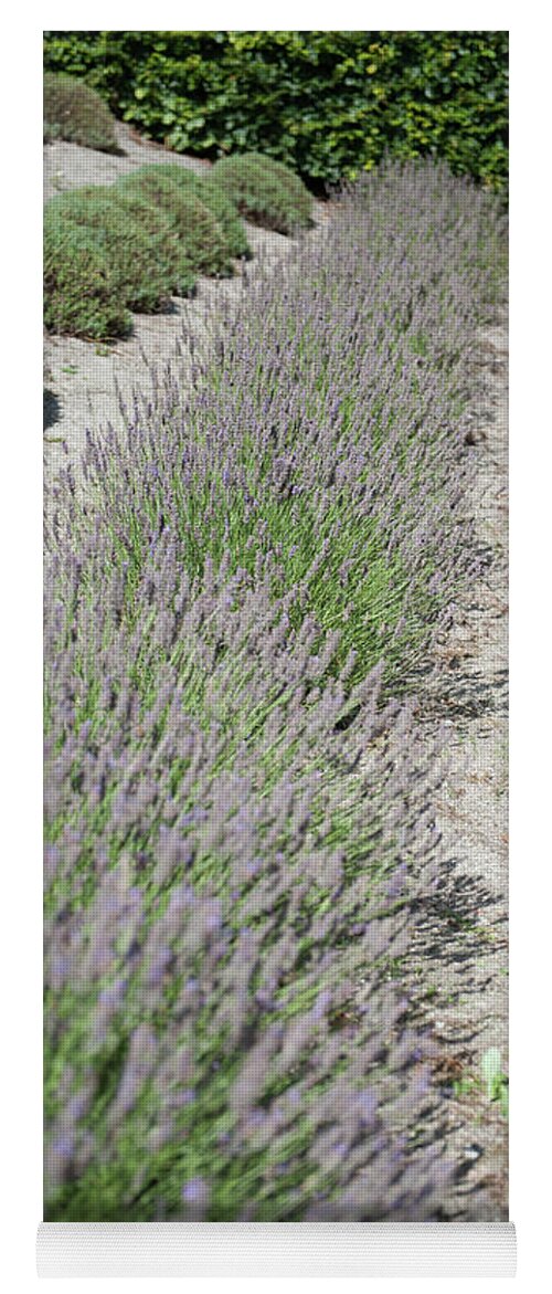 Eden Project Yoga Mat featuring the photograph Lavender Row No. 2 by Helen Jackson