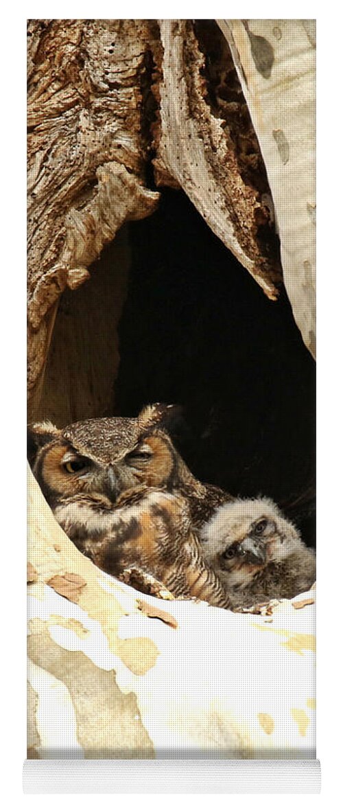 Great Horned Owl Yoga Mat featuring the photograph Lean on me by Heather King