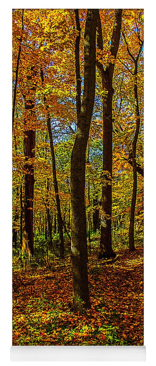 Illinois Yoga Mat featuring the photograph Left or Right? Lost in the Woods by Roger Passman