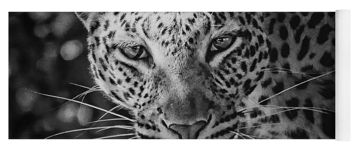 Leopard Yoga Mat featuring the photograph Leopard, Black And White by Jean Francois Gil