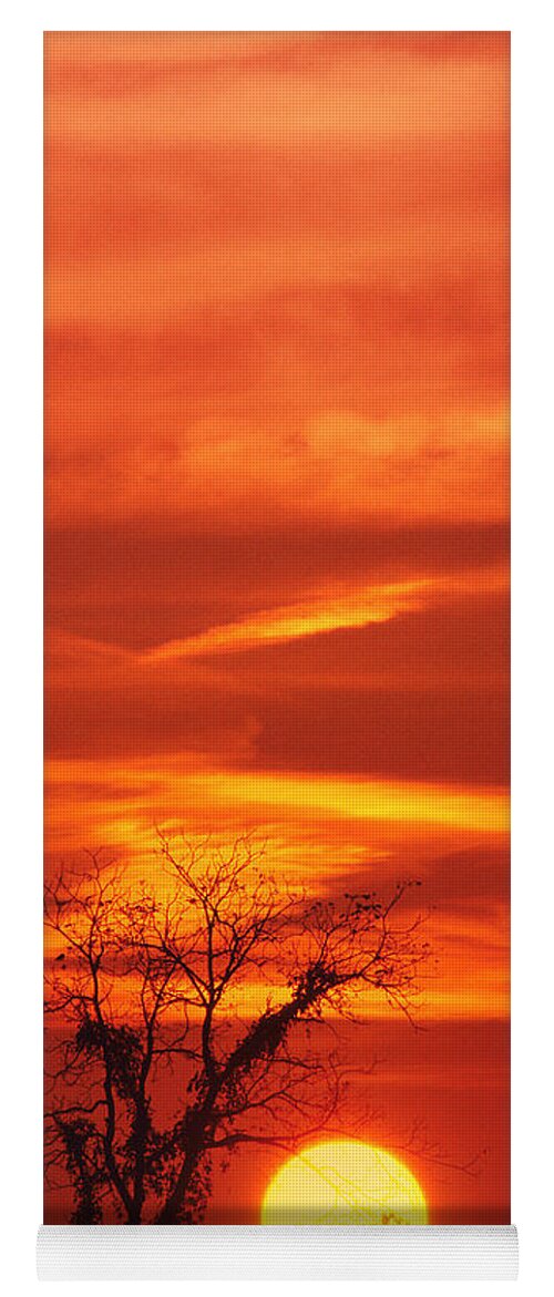 Brush Yoga Mat featuring the photograph Lexington Sunset by Bijan Pirnia