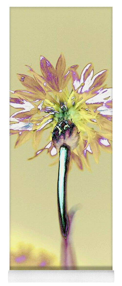 Flower Yoga Mat featuring the photograph Light and Lovely by Dani McEvoy