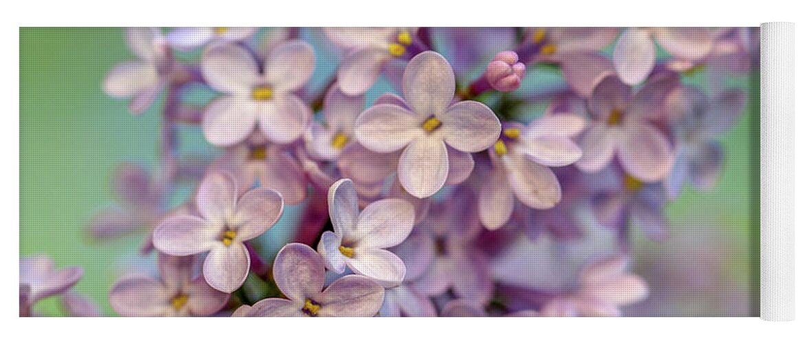 Lilac Yoga Mat featuring the photograph Lilac Blossom II by Mary Anne Delgado