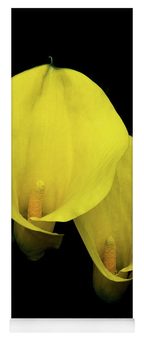 Calla Yoga Mat featuring the photograph Lilies Out of the Dark by Douglas Barnett
